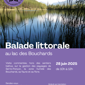 Balade littorale - 28 juin 2025