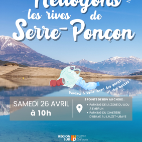 Nettoyons le Sud 
